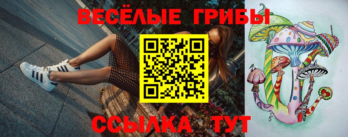 Псилоцибиновые грибы Magic Shrooms  Вход с VPN  Славянск-на-Кубани  Галлюциногенные грибы Psilocybe 